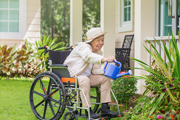 Elderly Companion Care